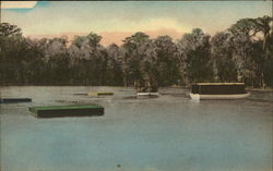 Glass-bottom Boats and Bathing Floats Wakulla Springs, FL Postcard Postcard