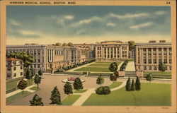 Harvard Medical School Boston, MA Postcard Postcard