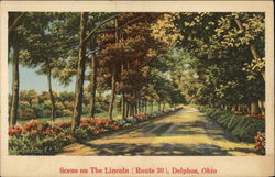 Scene on The Lincoln (Route 30) Delphos, OH Postcard Postcard