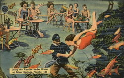 Doing the Apache under water Silver Springs, FL Postcard Postcard