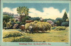 Greetings - Harvest Scene Maxatawny, PA Postcard Postcard