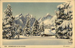 Snowbound in the Tetons Postcard