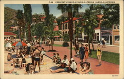 Crescent Avenue, Catalina Island Postcard