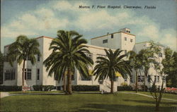 Morton F. Plant Hospital Postcard