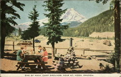 One of Many Camp Grounds Near Mt. Hood Postcard