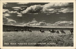 Pack Train Fording Glacier Stream Alaska Postcard Postcard