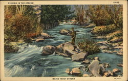 Fishing in the stream: Maine Trout Stream Postcard