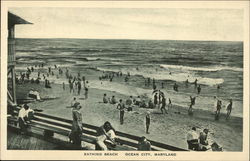 Bathing Beach Ocean City, MD Postcard Postcard