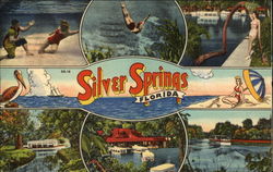 Views of Silver Springs Postcard