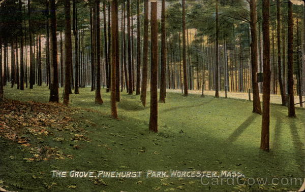 The Grove Pinehurst Park Worcester Ma