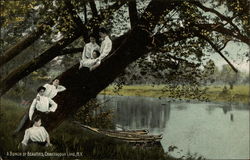 A bunch of beauties Chautauqua Lake, NY Postcard Postcard