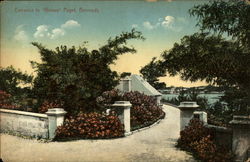 Entrance to "Girvan" Paget Postcard