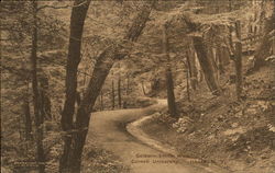 Goldwin-Smith Walk, Cornell University Ithaca, NY Postcard Postcard