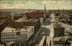 Bird's Eye View Postcard