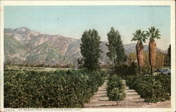 Mt. Wilson from The Old Shores Ranch Postcard