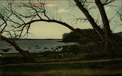 Great Pond from Randolph Street South Weymouth, MA Postcard Postcard