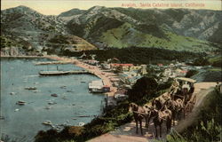 Avalon, Santa Catalina Island California Postcard Postcard