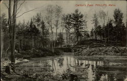 Carlton's Pond Postcard