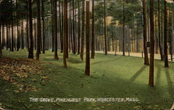 The Grove, Pinehurst Park Worcester, MA Postcard Postcard