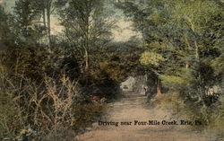 Driving near Four-Mile Creek Erie, PA Postcard Postcard