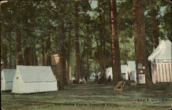 Camp Curry Postcard