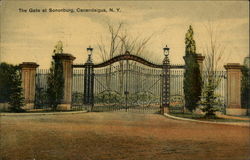 The Gate at Sononburg Postcard