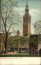 Madison Square Garden Postcard