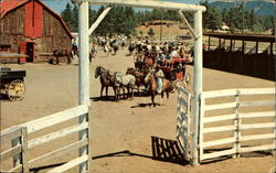 Paradise Ranch Woodland Park, CO Postcard Postcard