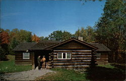 Family Cabins Postcard