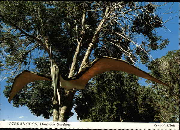 Pteradnodon, Dinosaur Gardens Vernal, UT