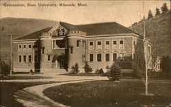 Gymnasium, State University Postcard