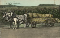 A Load of Kansas Corn Exaggeration Postcard Postcard