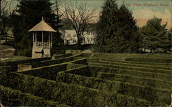 The Maze Waltham, MA Postcard Postcard