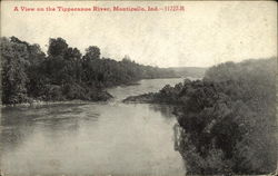 A view on the Tippecanoe River Monticello, IN Postcard Postcard