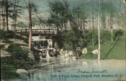 Falls & Rustic Bridge, Prospect Park Postcard