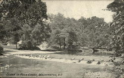 Scene in Rock Creek Postcard