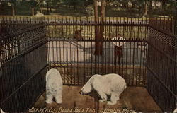 Bear Caves at Belle Isle Zoo Detroit, MI Postcard Postcard