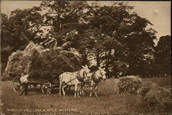 Men Loading Hay on a Wagon Postcard