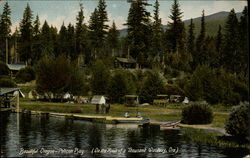 Beautiful Oregon Pelican Bay Postcard