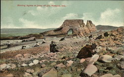 Hunting Agates at Jump Off Joe Newport, OR Postcard Postcard