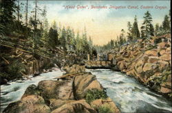 Head Gates, Deschutes Irrigation Canal, Eastern Oregon Postcard Postcard