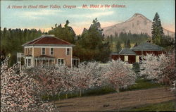 A Home in Hood River Valley, Oregon, Mt. Hood in the distance Postcard Postcard