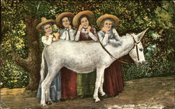 Four Women and a White Donkey Postcard