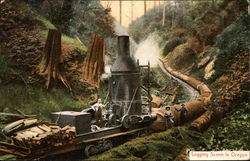 Logging Scene Oregon Postcard Postcard