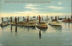 Tonging for Toke Point Oysters, Near Mouth of the Columbia River Oregon Postcard Postcard