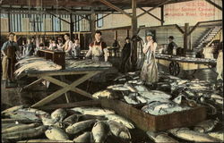 Interior Salmon Cannery Columbia River, OR Postcard Postcard