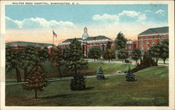 Walter Reed Hospital Washington, DC Washington DC Postcard Postcard