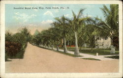 Beautiful Royal Palm Way Palm Beach, FL Postcard Postcard