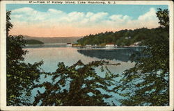 View of Halsey Island Postcard