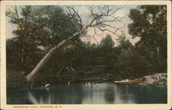 Swimming Pool Hedding, NH Postcard Postcard